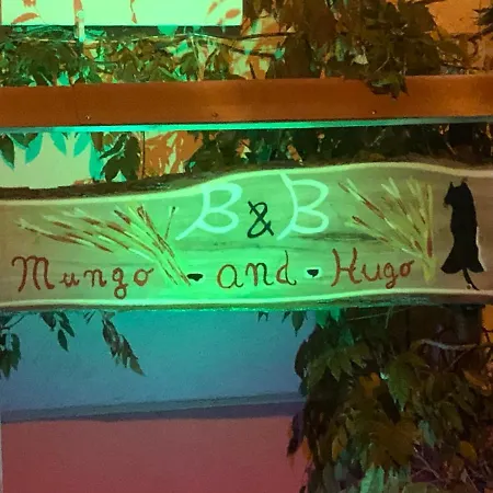 Mungo And Hugo Oda ve Kahvaltı