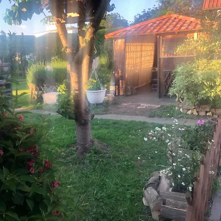 Mungo And Hugo Oda ve Kahvaltı *